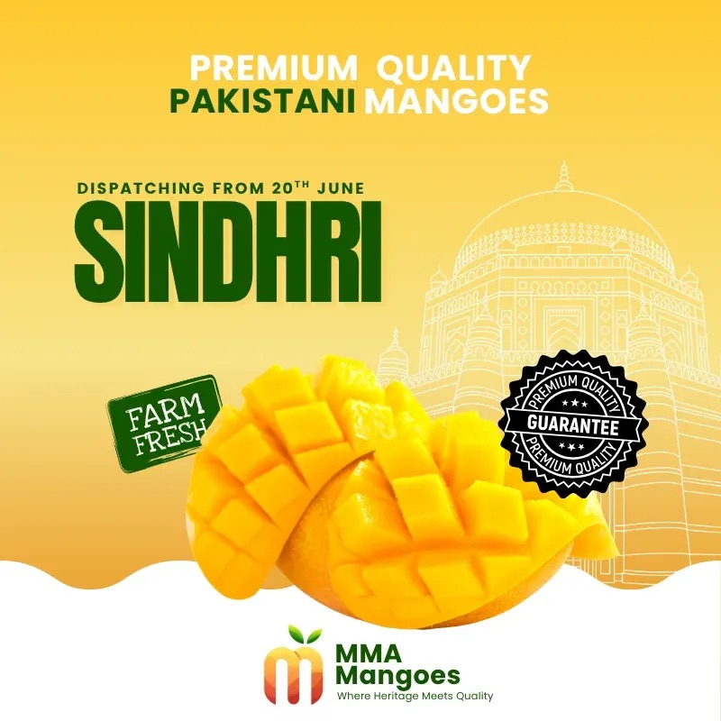 Sindhri from MMA Farms, Multan